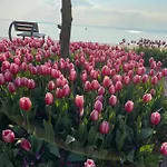 Apartament Vanti Al Garda *