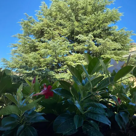 Vanti Al Garda Apartamento