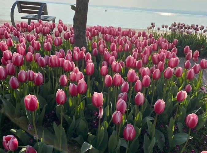 Apartment Vanti Al Garda *