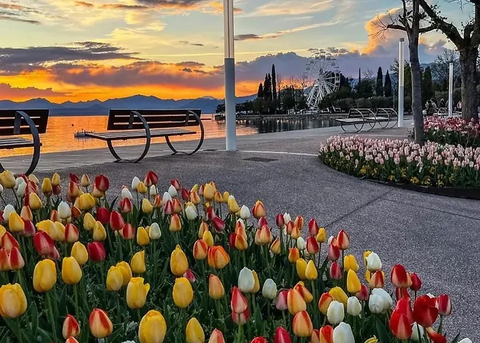 Vanti Al Garda Daire