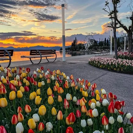 Vanti Al Garda Appartamento